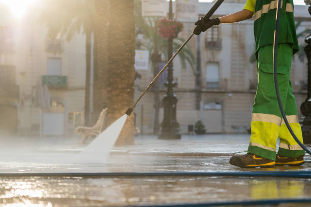 Best Driveway Pressure Washing  in Laurel Lake, NJ